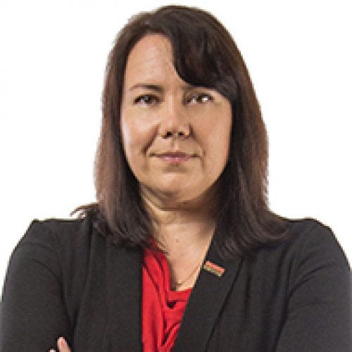 Dr. Yaroslava G. Yingling